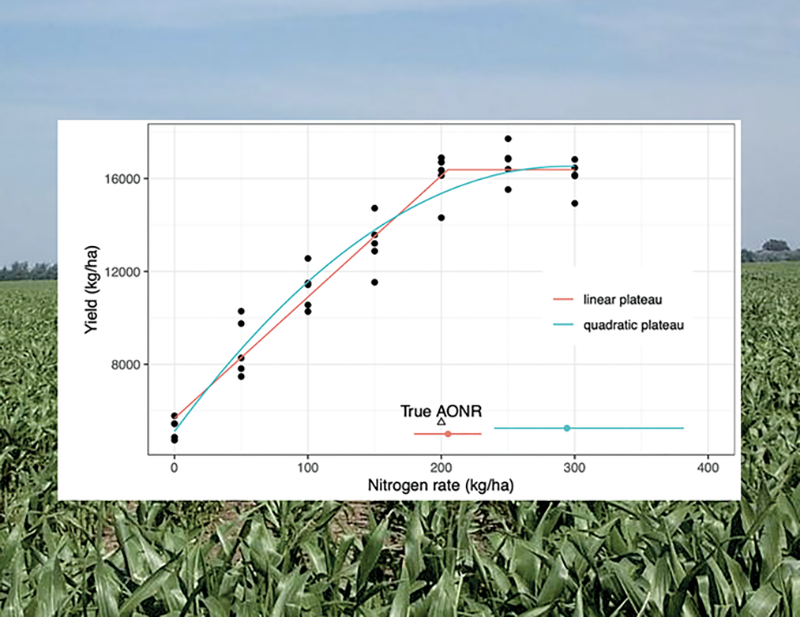 Different models result in different optimum nitrogen rate estimates. Image by Fernando Miguez and Hanna Poffenbarger.
