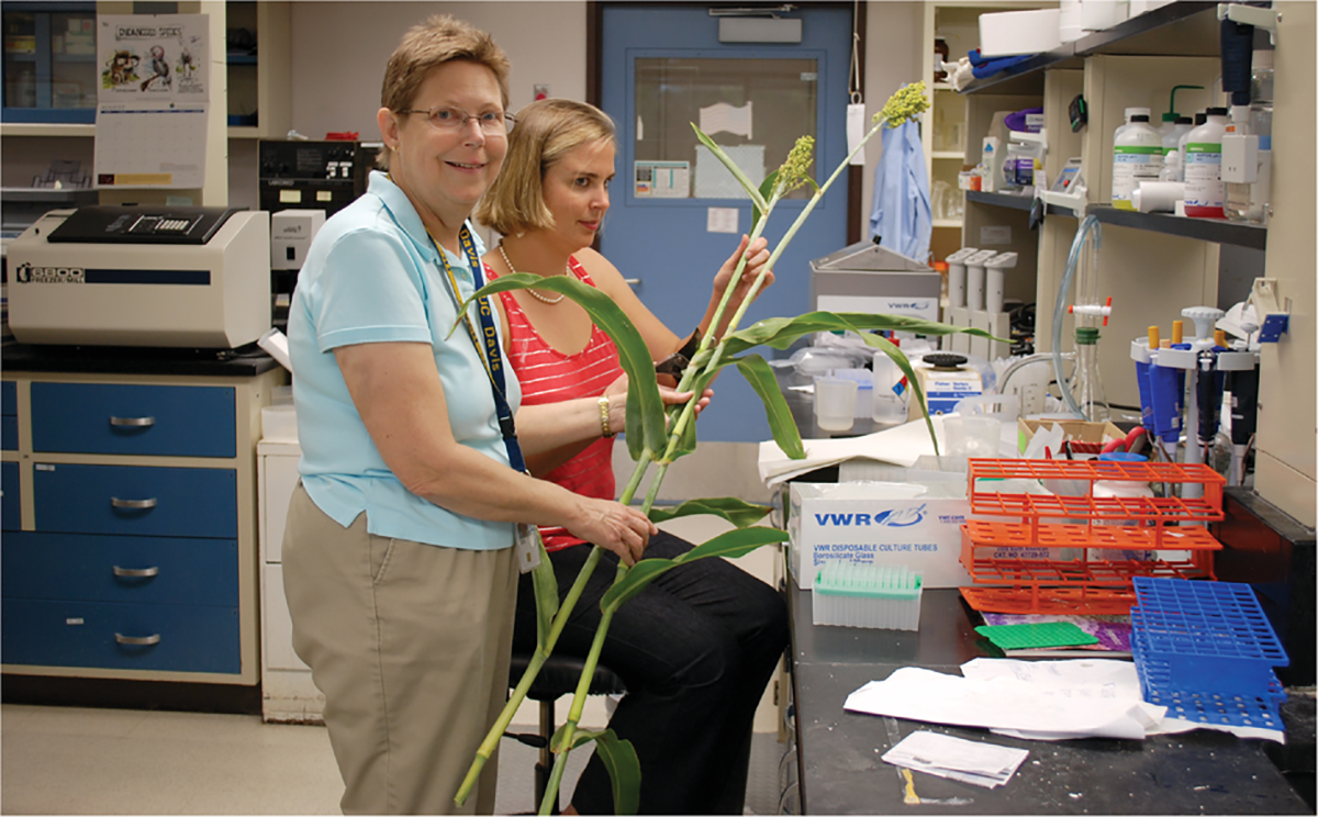 Dr. Sarah Lingle (left) and technician Scotti Sklanka at a USDA-ARS lab.