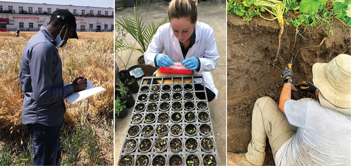 “It will be the first-hand experiences of members, and their collective energy and passion to pursue new ideas, that will allow the Societies to have the biggest impact on the world they can,” says new ACSESS CEO, Jim Cudahy. Photos courtesy of (l to r): Aduragbemi Amo, Anne Dinges, and Carlos Bonini Pires.