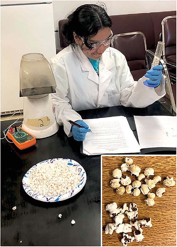 Undergraduate researcher Sophia Arista measures the popping performance of hybrids. Inset: Differences in the shapes of popped sorghum. Photos by Mitchell Kent.