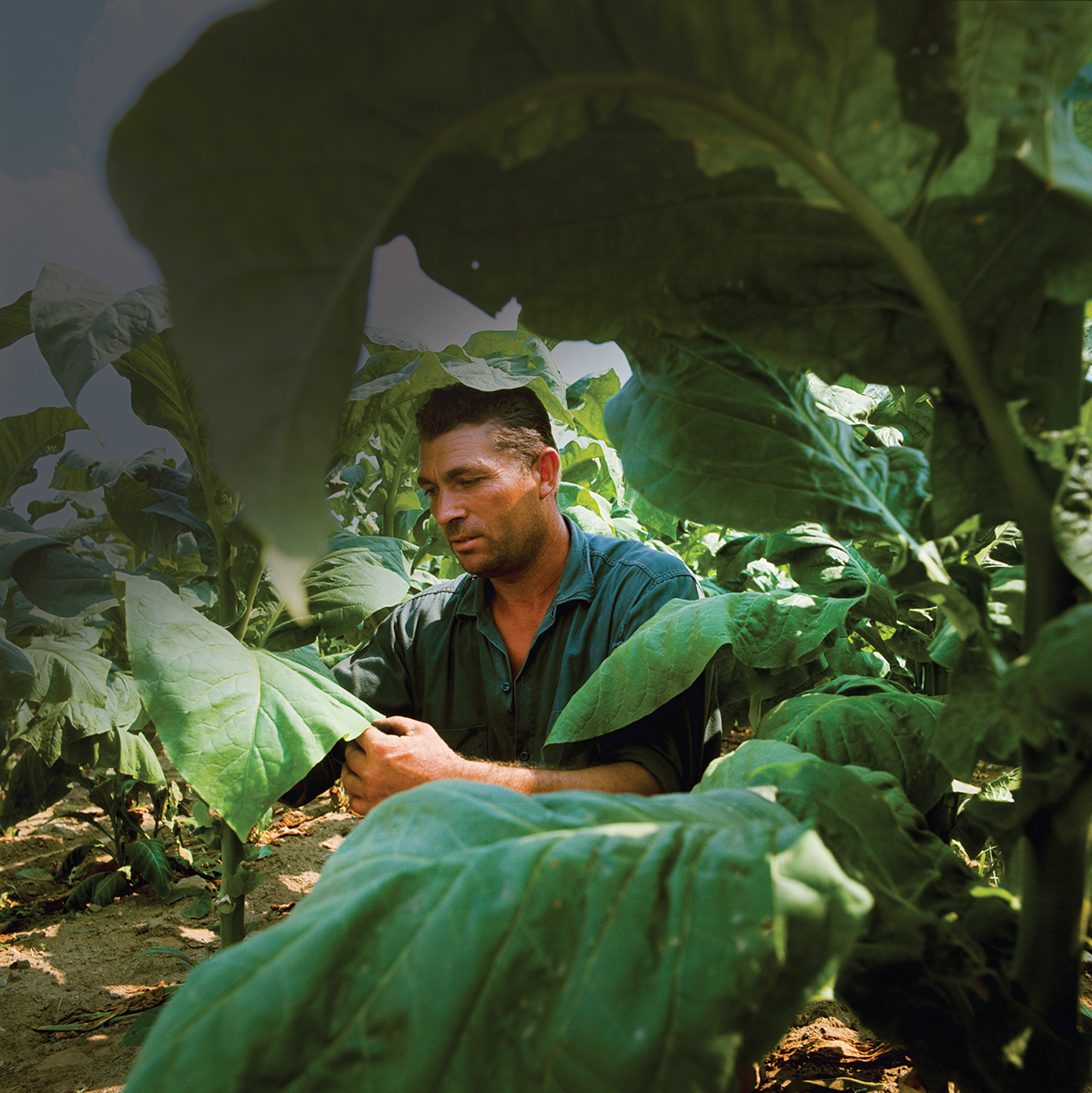 Photo by David Forbert/agefotostock.