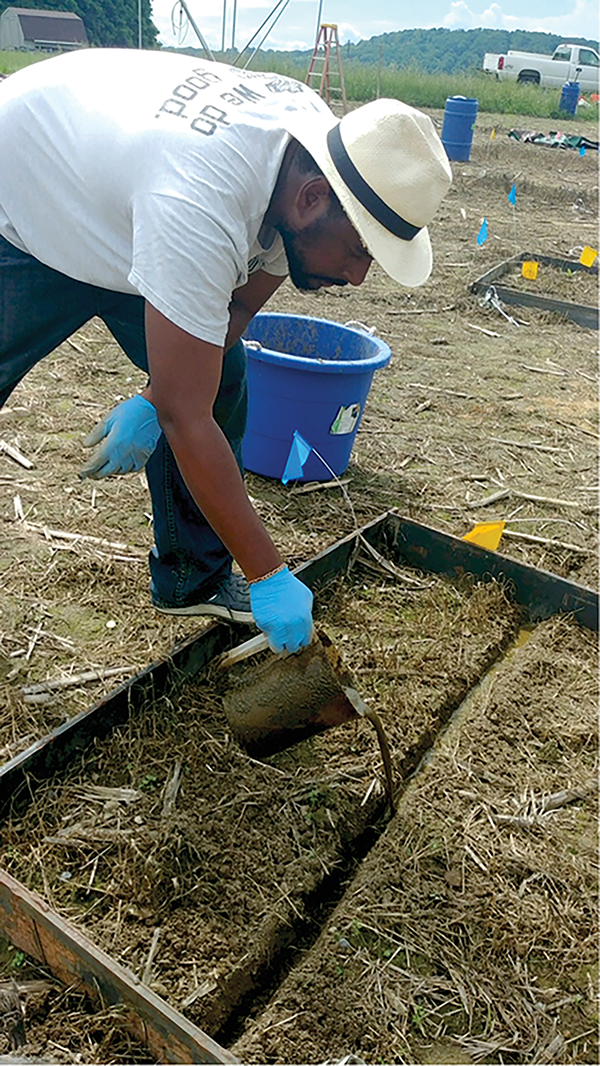 Lead author Dr. Sheldon Hilaire prepares a subsurface injection treatment of field plots at Virginia Tech’s Kentland farm by pouring liquid dairy manure into a premade injection slit. Photo by Dr. Jesse Radolinski.