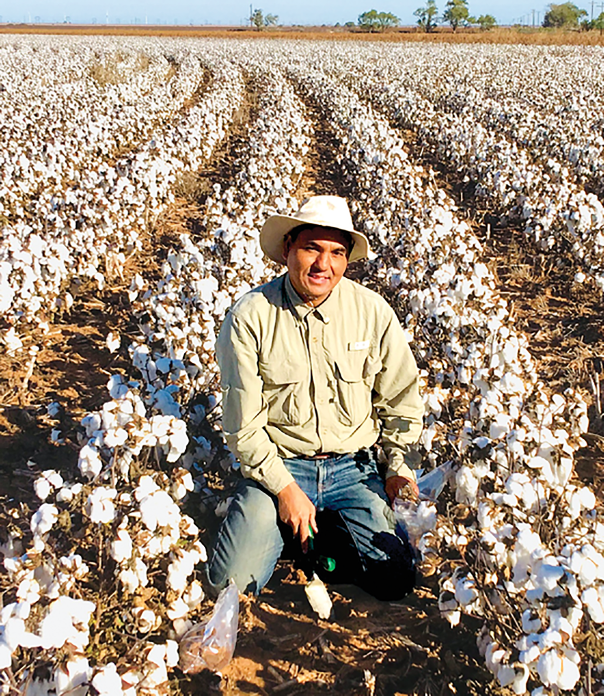 Lead author Krishna Bhandari in a Texas cotton field that was part of the study. Photo by Veronica Acosta-Martinez, USDA-ARS.