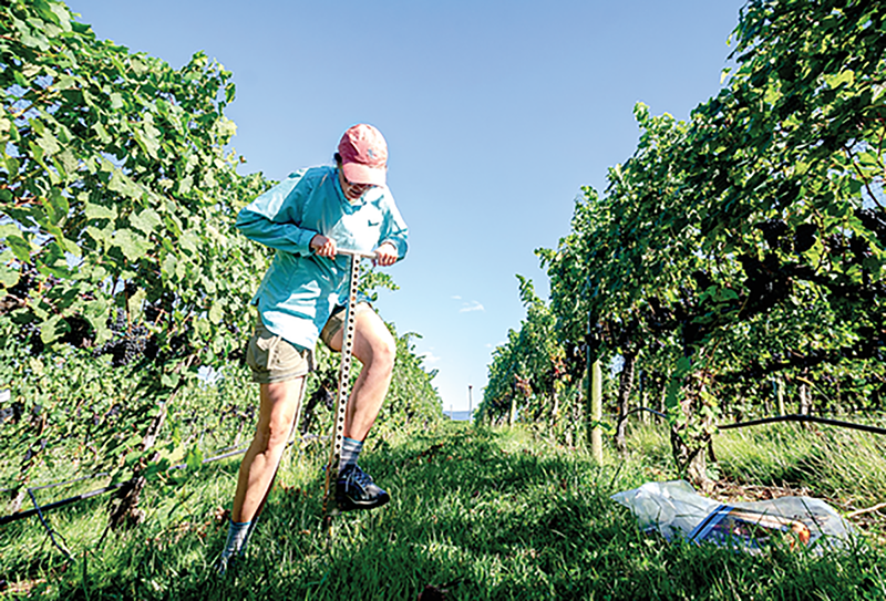 To address the current and emerging challenges to build a resilient and equitable agricultural system for the future, we must not only maintain, but also grow, the investment in USDA-sponsored research. Photo by Jaclyn C Fiola.