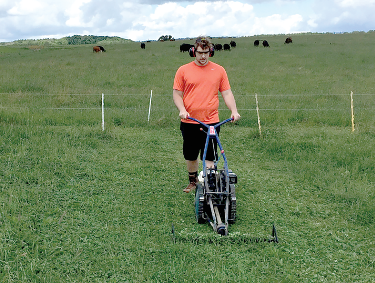 Study co-author Jordan Koos cuts pasture vegetation in the experimental plots at a research farm at West Virginia University. Photo by Zachary Freedman.