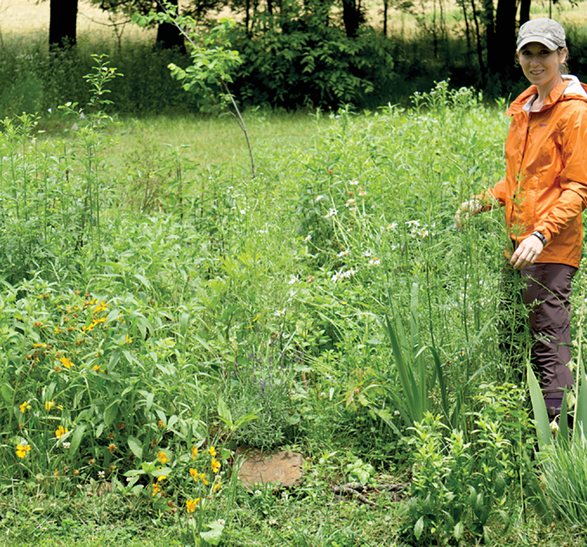 First author Rachel Bechtold conducts a plant survey as part of an ongoing effort to increase knowledge of species richness in prairie areas of Cherokee County, Kansas. Photo courtesy of Rachel Bechtold.