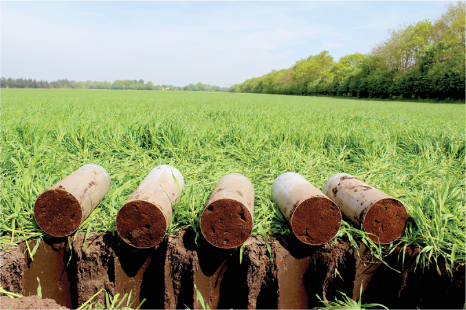 Researchers conducted an outdoor column study to compare the  behavior of bromide in arable topsoil to control columns contain- ing sand and fine gravel. Photo by GEUS/Christian Albers.