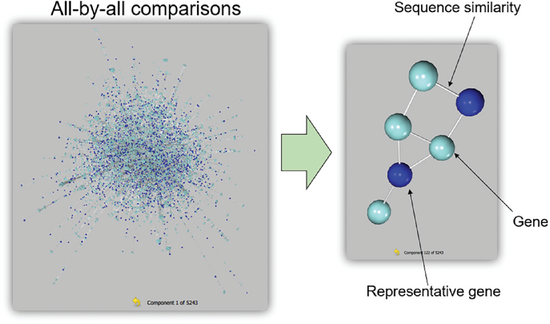 The occurrence of short sequence motifs, pinpointed from the re- sults of a GWAS, distinguished between white- and purple-flowered soybean accessions. Figure reproduced with permission from the following article by Sundaramoorthy et al. published in the Journal of the Korean Society for Applied Biological Chemistry: https://doi. org/10.1007/s13765-015-0077-z.