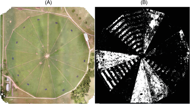 The above images illustrate precision agriculture in action. Left: A drone image of a field in north Florida. Right: A map of weeds gen- erated by an artificial intelligence algorithm that supports weed management in that same field. Using these tools to identify un- desirable plants for precision herbicide spraying saves labor and costs. Images by University of Florida–NFREC, Marianna.