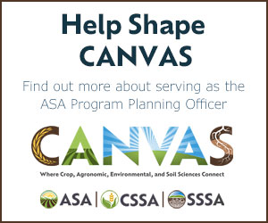 Help Shape CANVAS ASA Program Planning