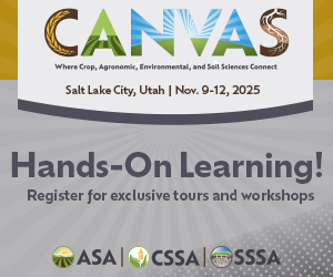 Hands-On Learning