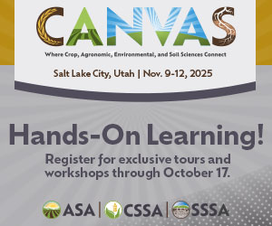 Hands-On Learning