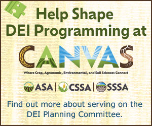 Help Shape DEI Programming at CANVAS
