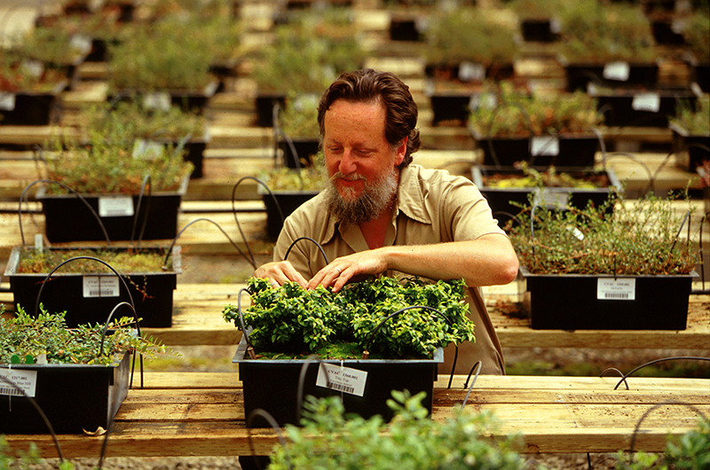 Work being done at teh National Plant Germplasm Repository