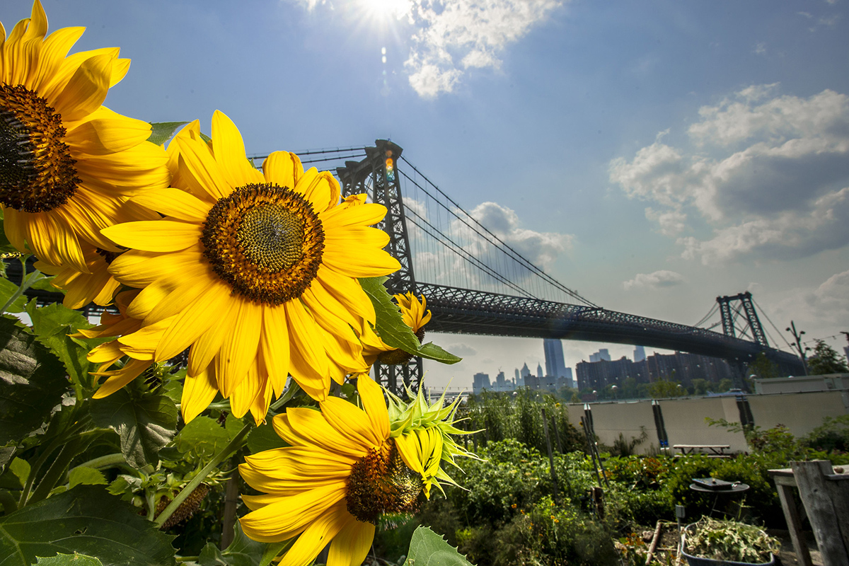 USDA Photo by Preston Keres.