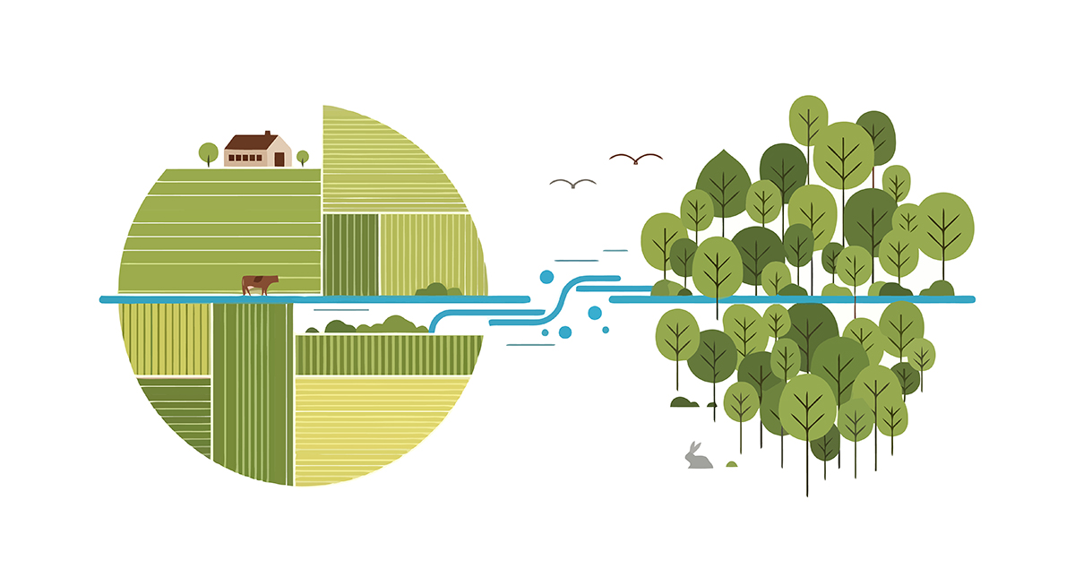 Illustration courtesy of Adobe Stock/Jonmart.