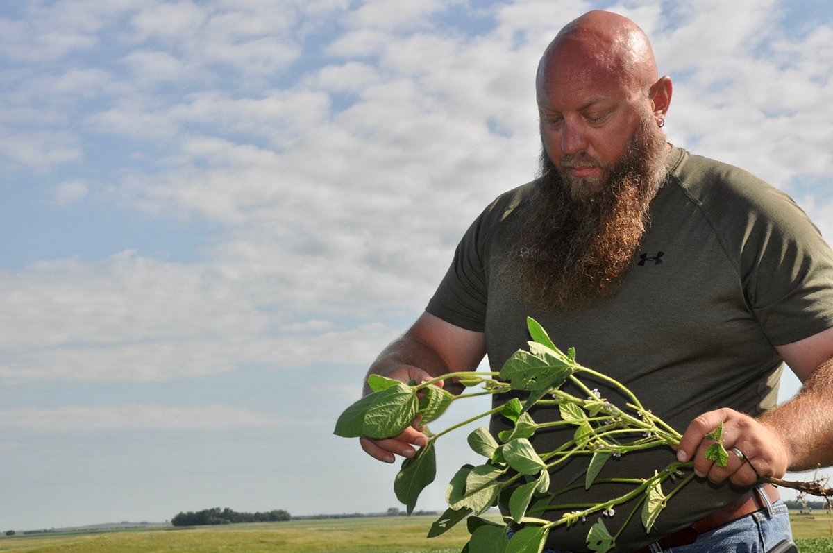 Lee Briese is a crop consultant with CENTROL in North Dakota and a Certified Crop Adviser (CCA).