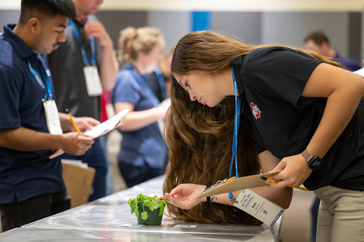 At the 2024 Annual Meeting (now known as CANVAS), undergraduate students were able to participate in numerous activities, such as the Crops Judging Contest shown here.