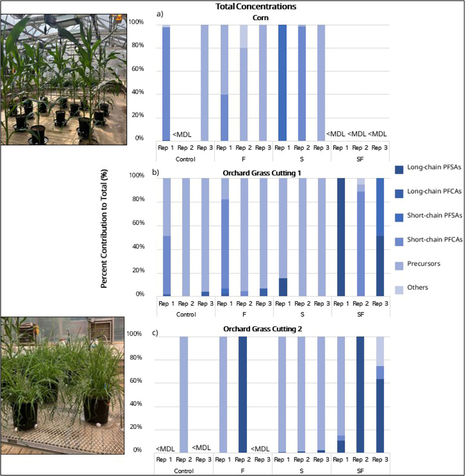 Concentrations of short- and long-chain PFAS in corn and orchard grass irrigated with treated wastewater