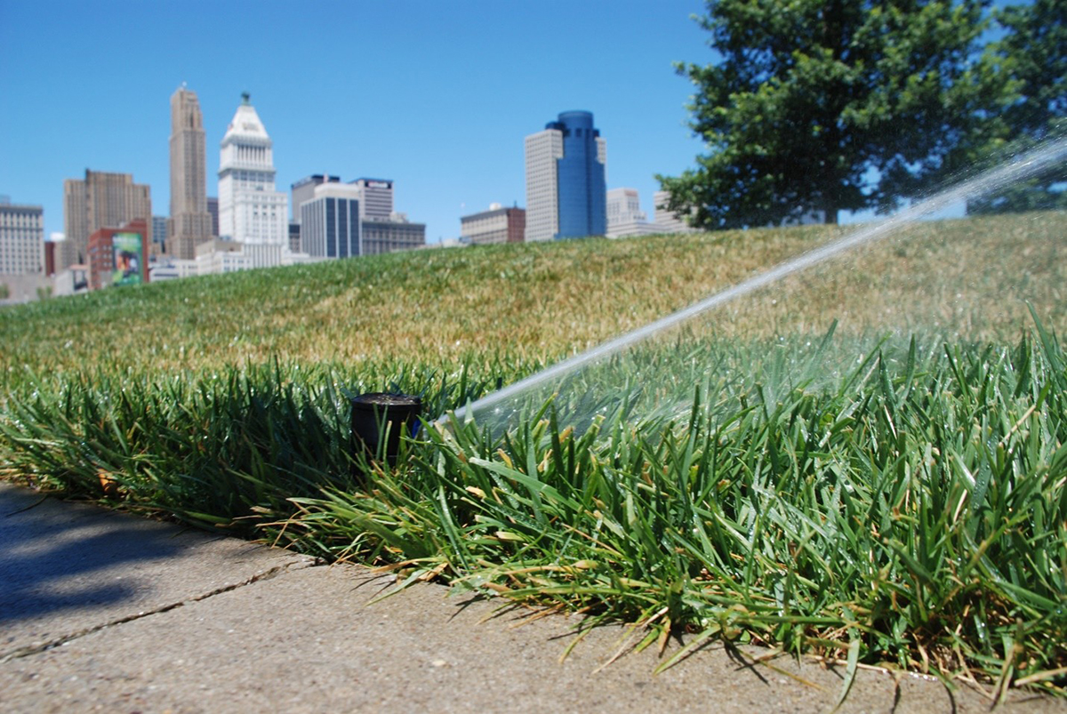 Water use in turfgrass.