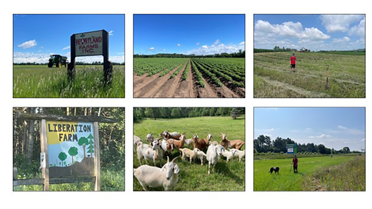 Small-scale and large-scale agricultural landscapes in Portage County, Wisconsin.