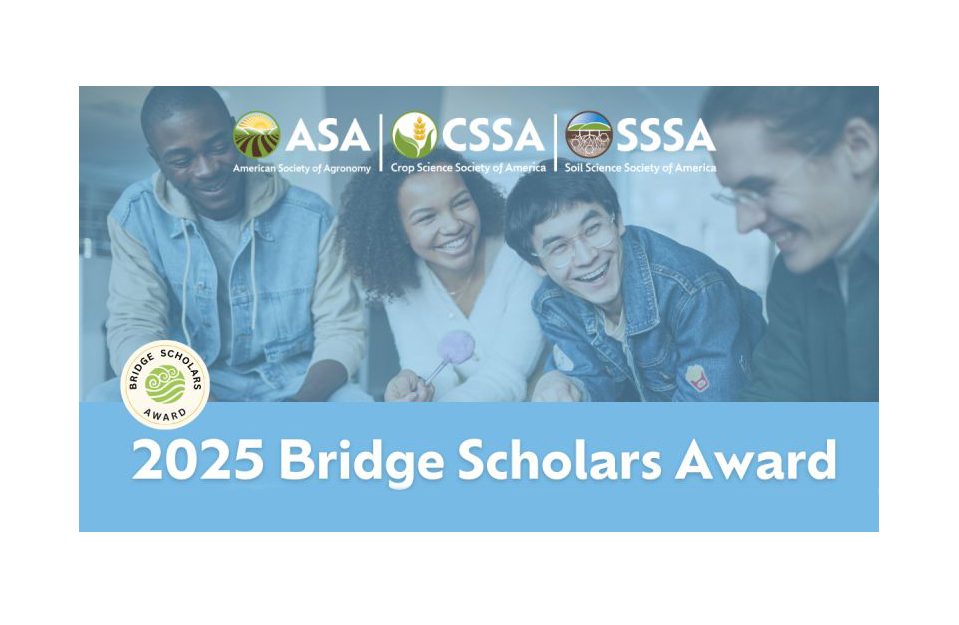 Bridge Scholars Award