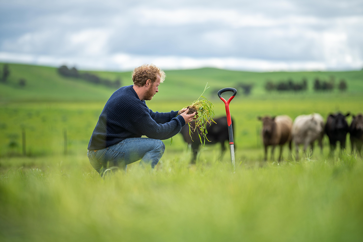 Conservation–production trade-offss