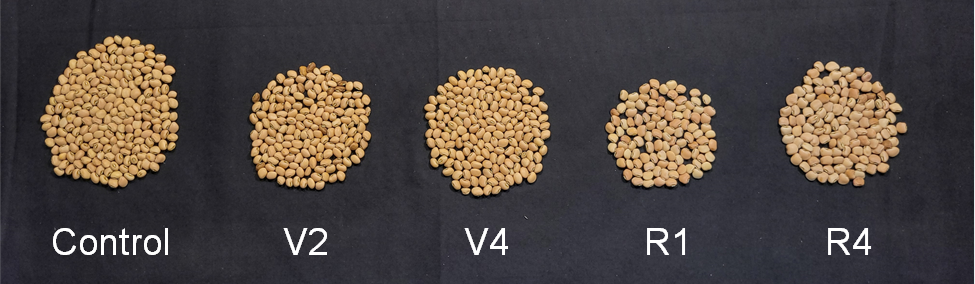 Resilience of cowpea to drought stress at nodulation initiation (V2), branching (V4), flowering (R1), and seed fill (R4)