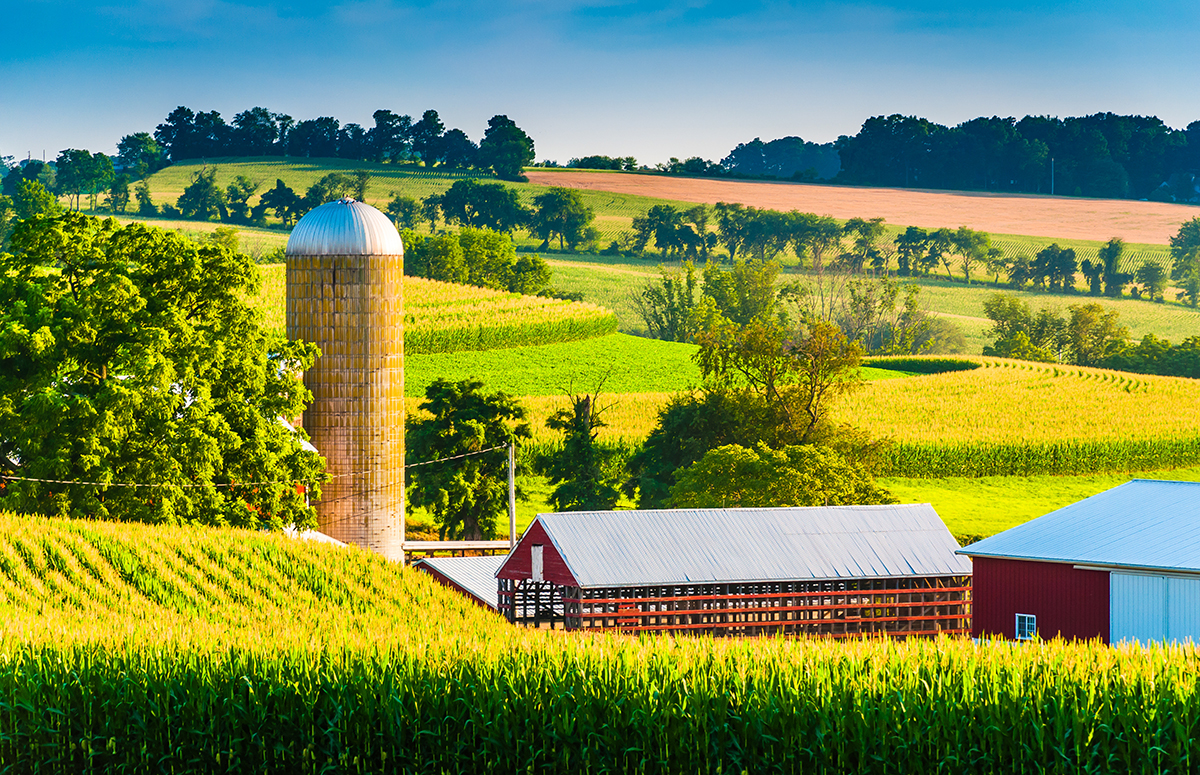 Photo courtesy of Adobe Stock/jonbilous.