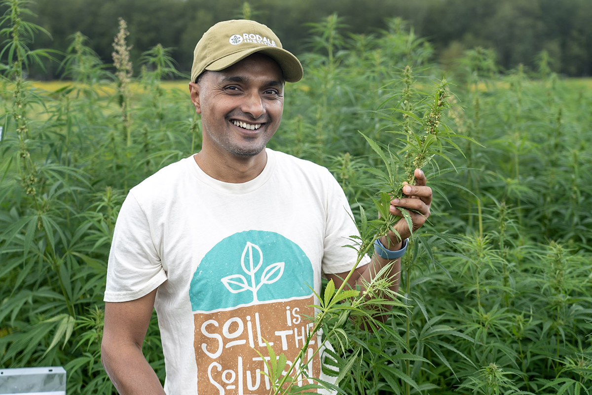 Dinesh Panday, soil scientist with the Rodale Institute, with fiber hemp.
