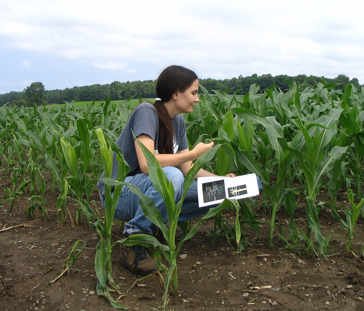 Megan O’Rourke is running for Congress in New Jersey’s 7th Congressional District. She is a former ASA member and climate scientist with USDA-NIFA.