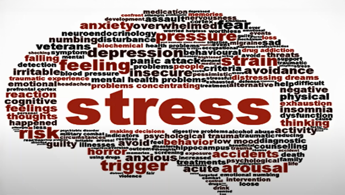 Stress