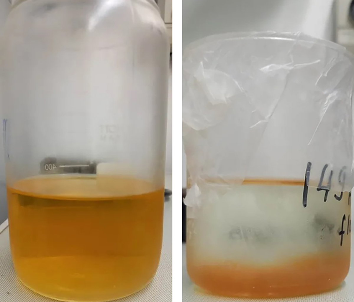 Dissolved organic matter used to produce models of Al in organic association. Right: Dissolved organic matter flocculated with Al ions as a model of Al in organic association. Photos courtesy of Thilo Rennert, University of Hohenheim.