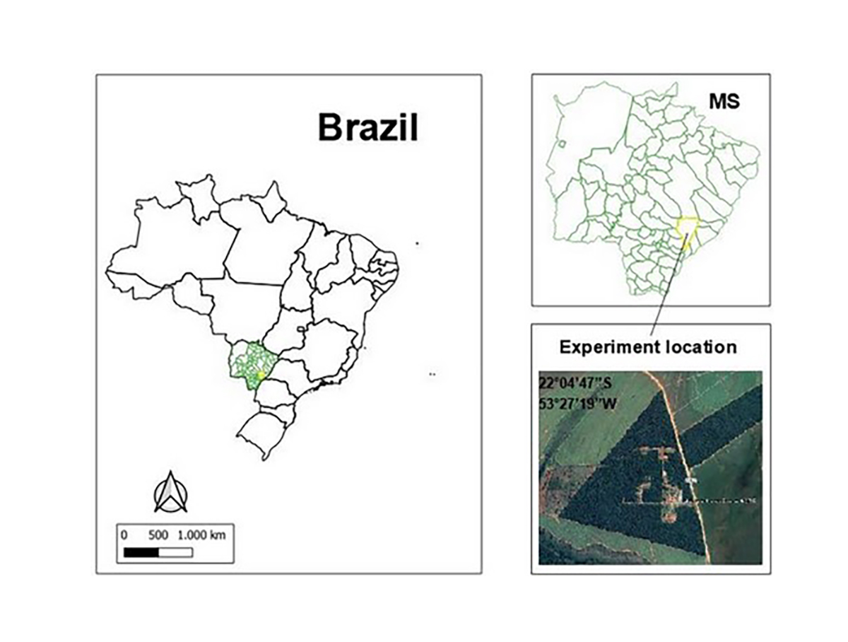 Experimental site at the Instituto Federal de Mato Grosso do Sul (IFMS) in Nova Andradina, Brazil. Image courtesy of Elcio Ferreira dos Santos, IFMS.