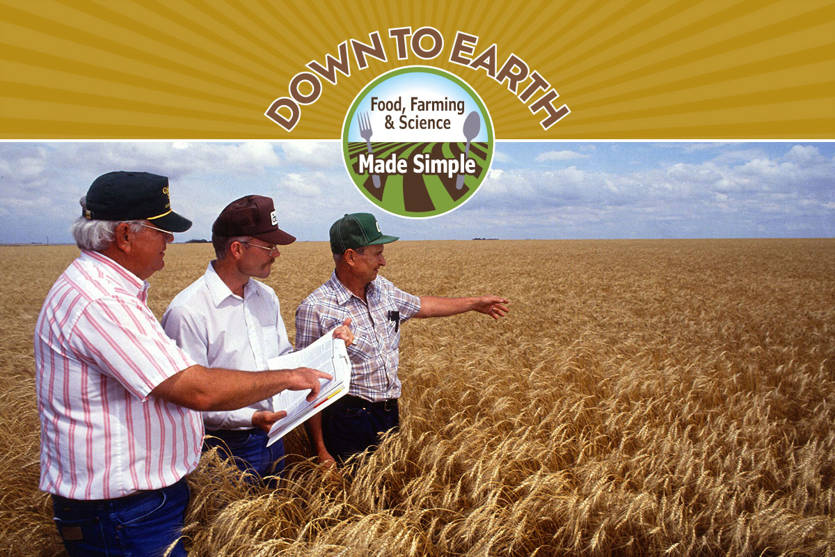 USDA photo by Scott Bauer.