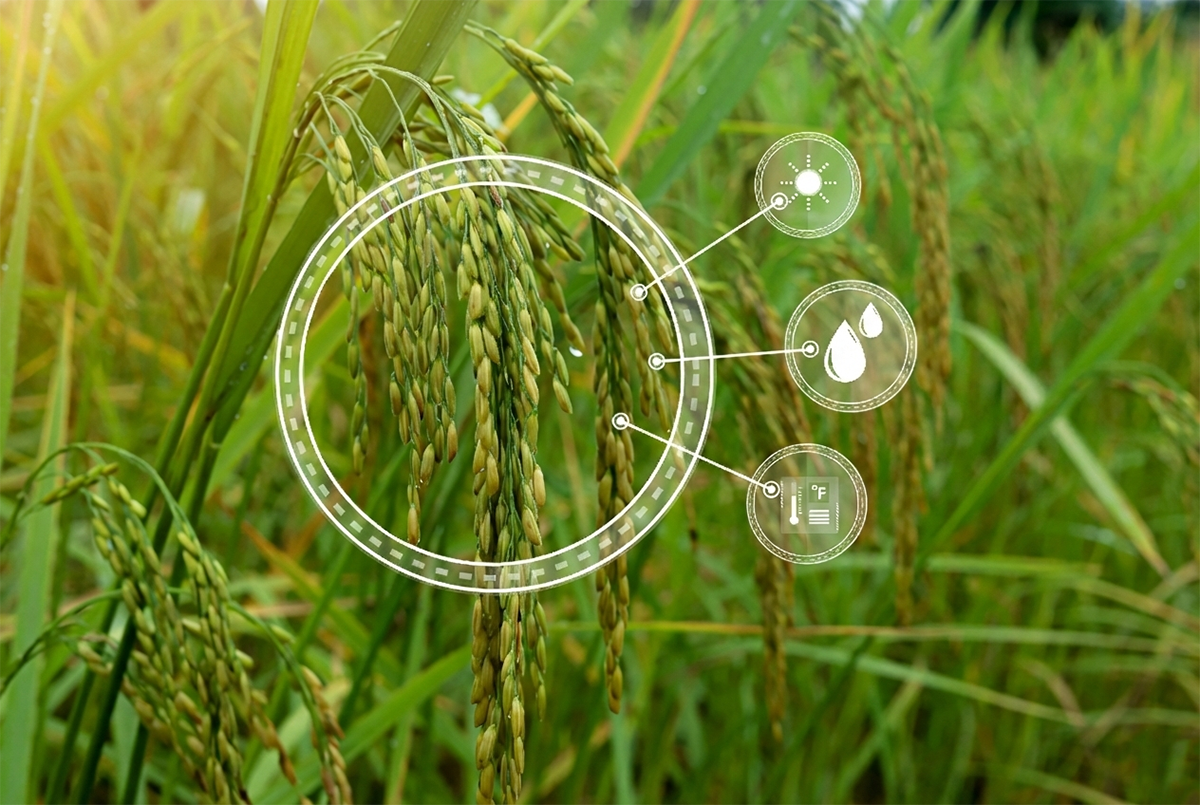 Cover photo courtesy of Adobe Stock/wasan.