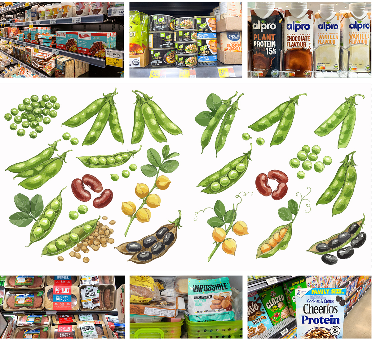 Cover illustrations courtesy of Adobe Stock: steheap, ColleenMichaels, studio, HelgaQ, sheilaf2002, and Jammer Gene.