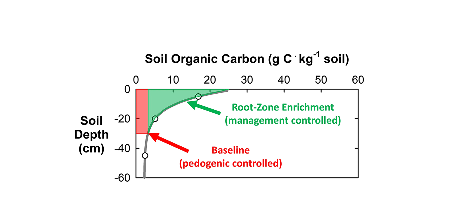 Soil organic matter can be conceptually separated into (1) pedogenic-controlled baseline and (2) contemporary management-controlled root-zone enrichment components. Photo courtesy of Alan Franzluebbers, USDA-ARS.