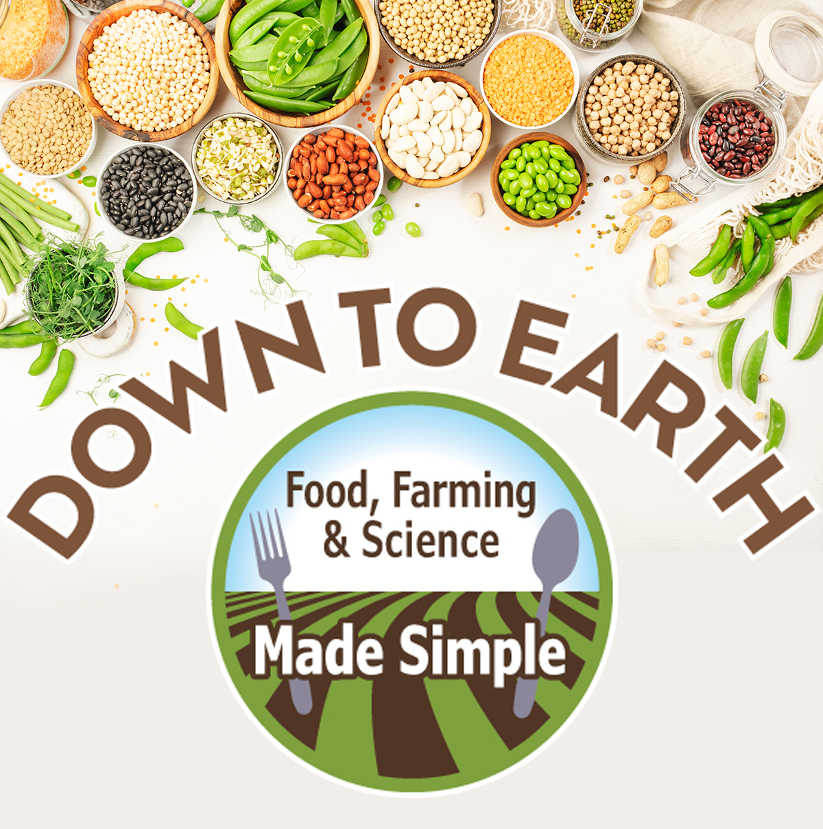 Down to Earth: Plant-based proteins