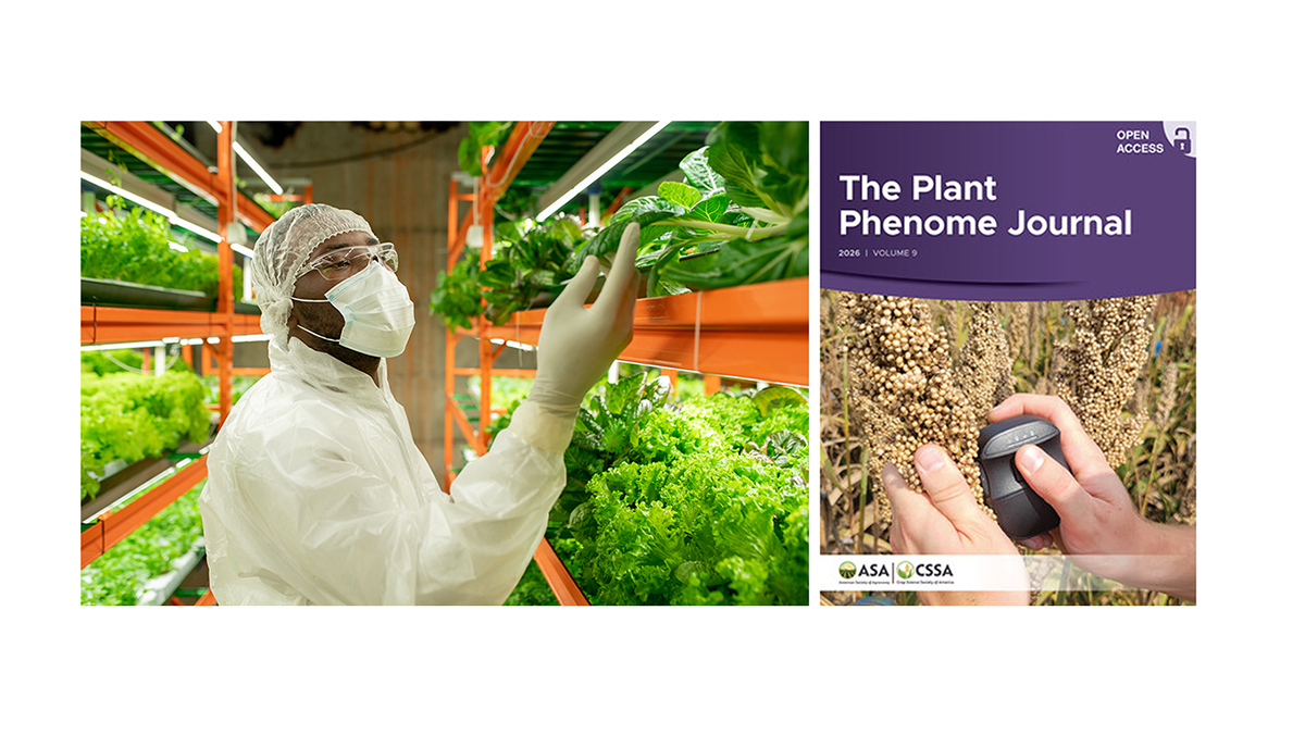 Phenomics of Germplasm Collection