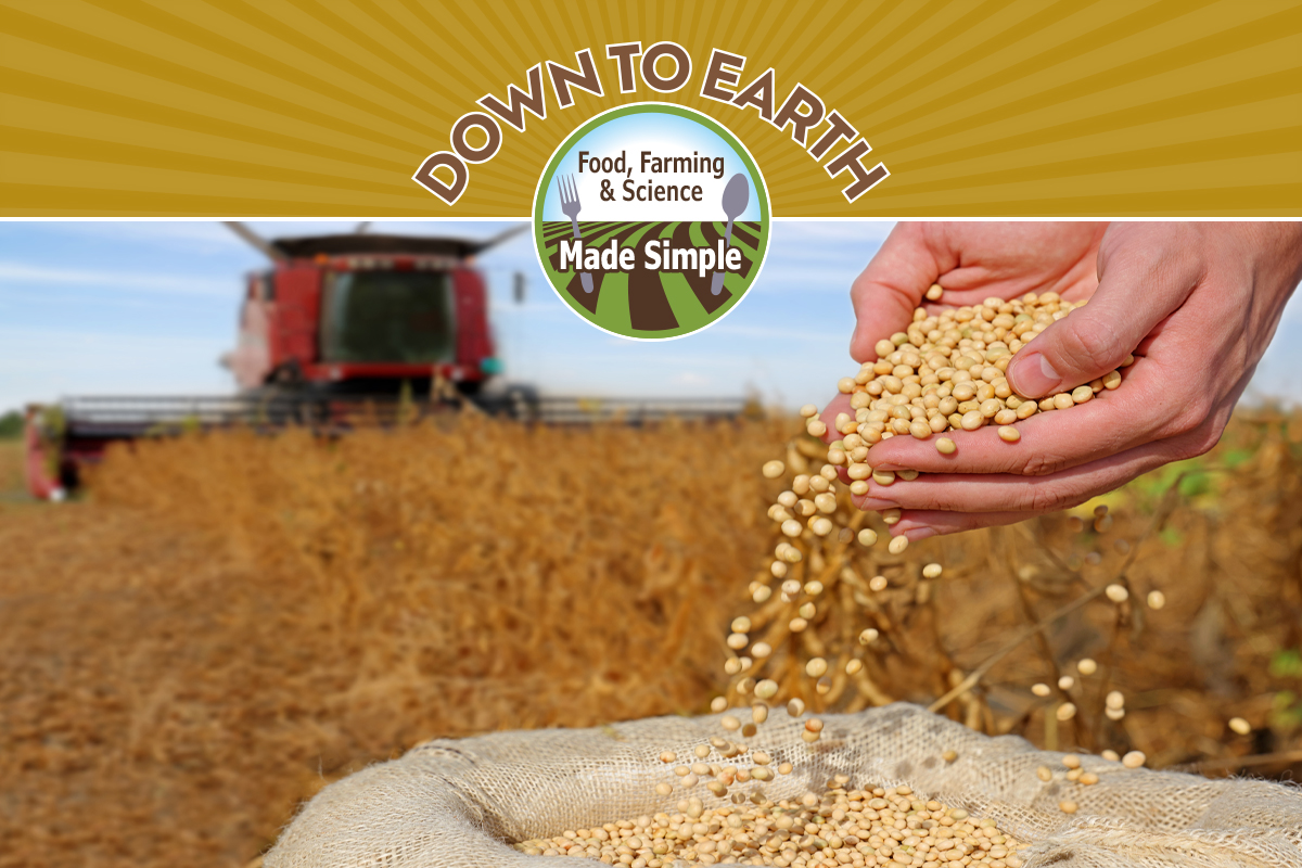 Photo courtesy of Adobe Stock/branex.