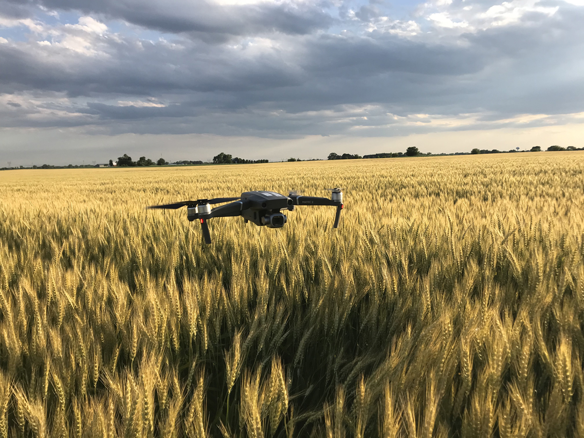 Using a drone to scout a wheat crop can efficiently pinpoint trouble areas across large acreage and is an example of utilizing precision agriculture technologies. Photo courtesy of Brad Bernhard.