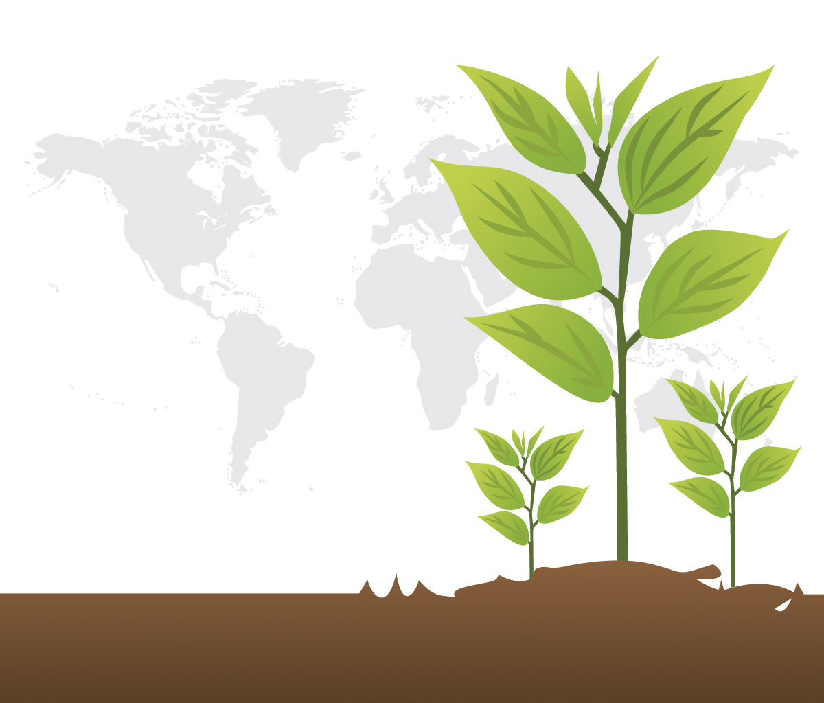 Global agronomy special session set for CANVAS 2026