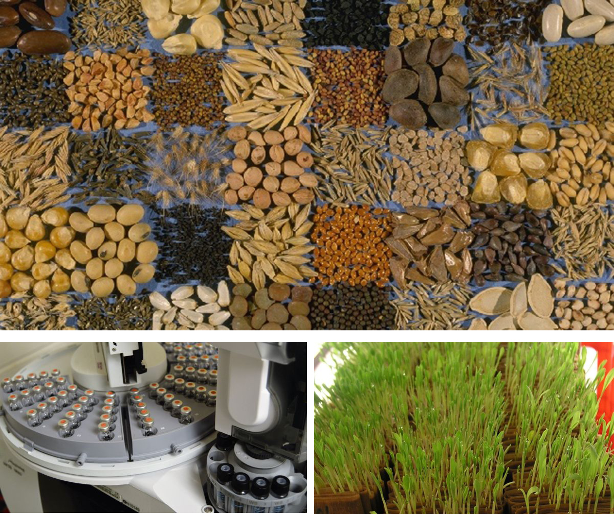 Photos courtesy of USDA.