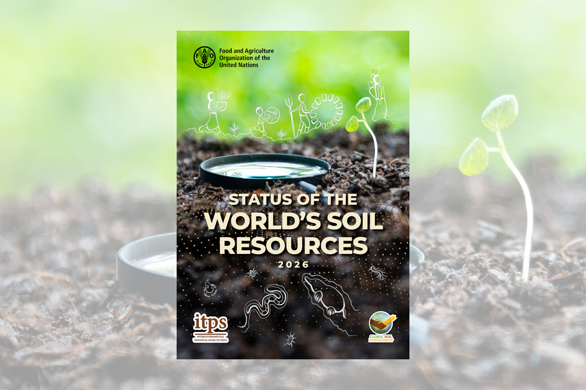 Status of the World's Soil Resources