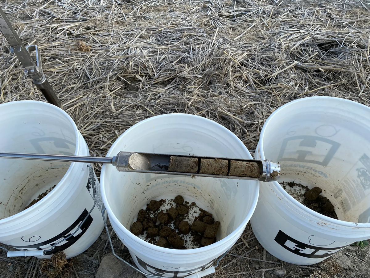 Stratified soil samples being collected in a long-term no-tillage rice-soybean rotation trial established in 2007 at the Rice Research and Extension Center, near Stuttgart, AR. Photo courtesy of Gerson Drescher, Assistant Professor of Soil Fertility at the University of Arkansas.