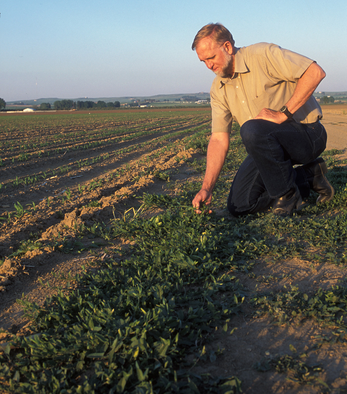 Photo by Peggy Greb (USDA-ARS).