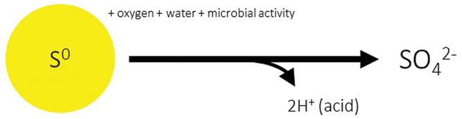 1 Figure Elemental sulfur must be oxidized to sulfate before it can be taken up by plant roots. The overall reaction is acidifying.