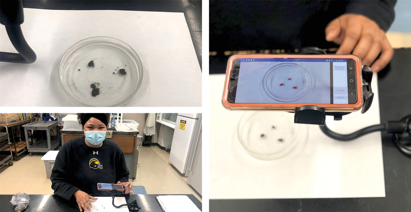 Figure 2. The laboratory method for slaking test used three air-dried pea-sized (0.08â0.59 inches) soil aggregates, a petri dish of water, and a smartphone with the free âSLAKESâ application.