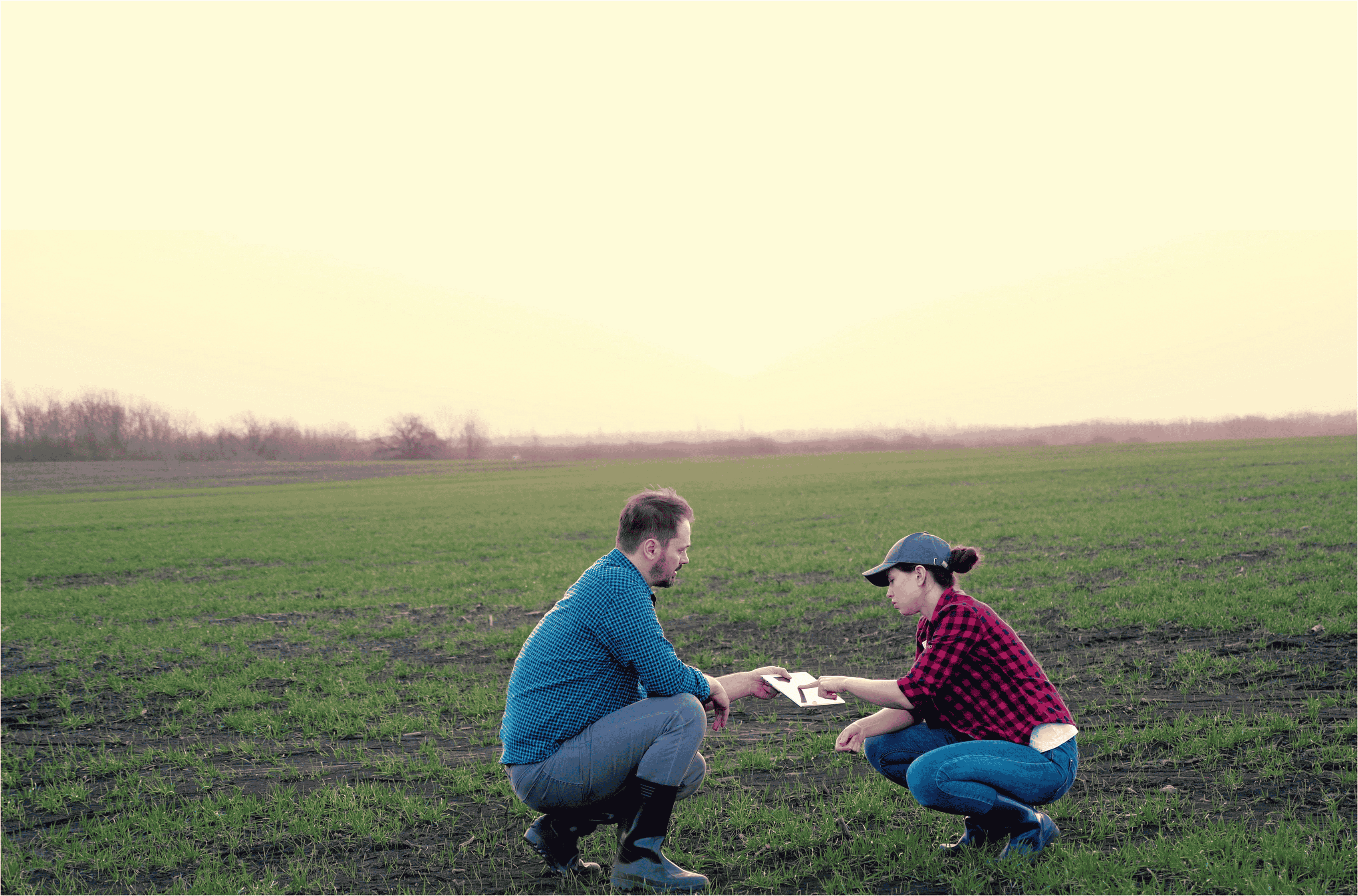 According to Terry Buettner, an agronomy support manager with  Ward Laboratories Inc., the number one thing needed to achieve sus- tainable and regenerative practices on rented land is landlord educa- tion. The landlord has to have a stake in the process and be willing to  participate. Photo courtesy of Adobe Stock/Валерий Зотьев.
